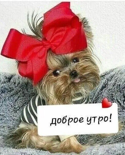  - 5  2022  03:26