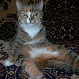 ���� �����, ������, 39 ��� - ��������� 28 ���� 2022