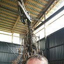 ���� ��������, �����, 67 ��� - ��������� 1 ������� 2022 � ������ ���� ����������