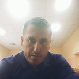 ���������, �������, 41 ���