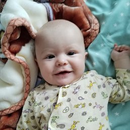 ���� ���������, ���������, 41 ��� - ��������� 9 ������ 2023