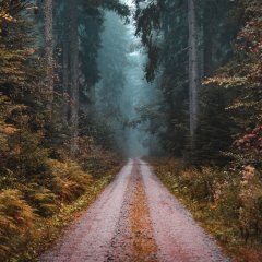 ���� Q, ������ - ��������� 10 ������� 2022