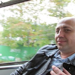 ����, ������, 41 ���