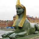  , -, 50  -  23  2022    