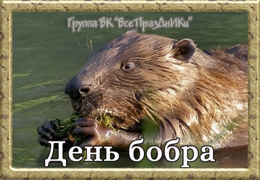   ,    . - 17  2022  21:26 - 4