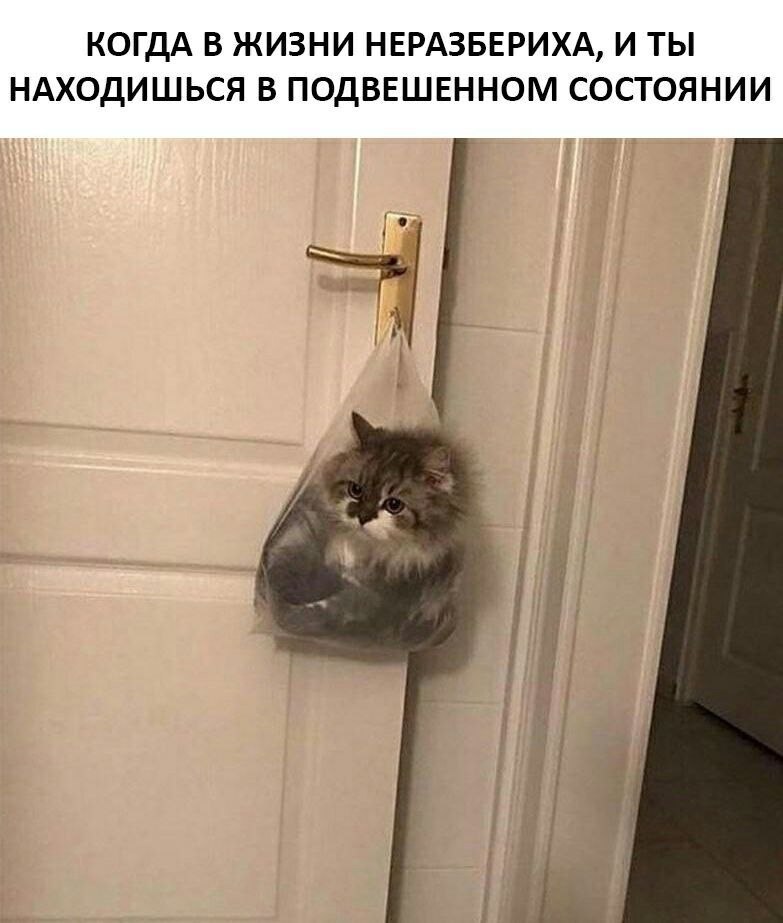    - 6  2022  20:21