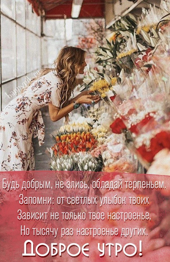   ,    . - 21  2022  23:10 - 4