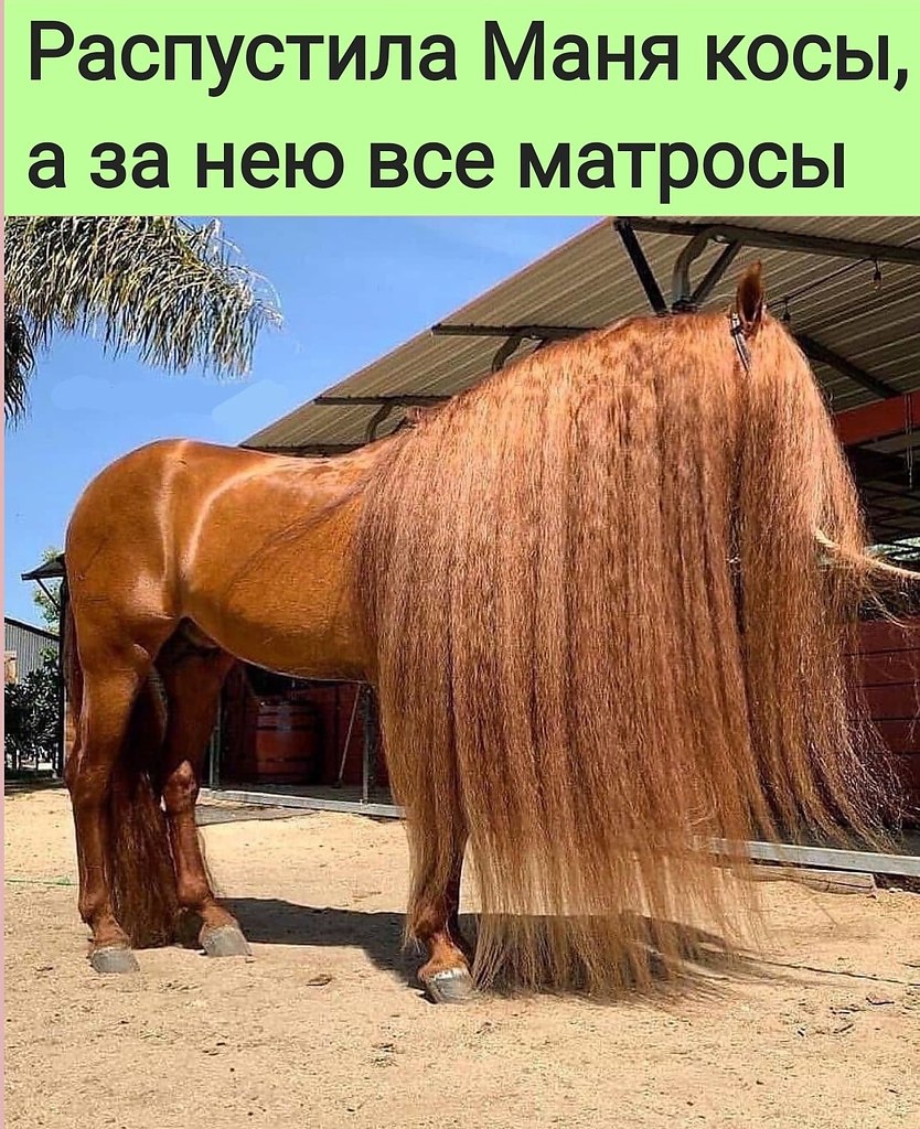   :D - 27  2022  08:52