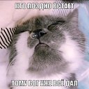 ���� ������, �����-���������, 53 ���� - ��������� 16 ������� 2022 � ������ �����������