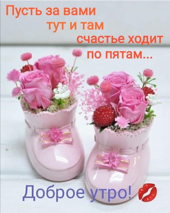   ,    . - 13  2022  07:11