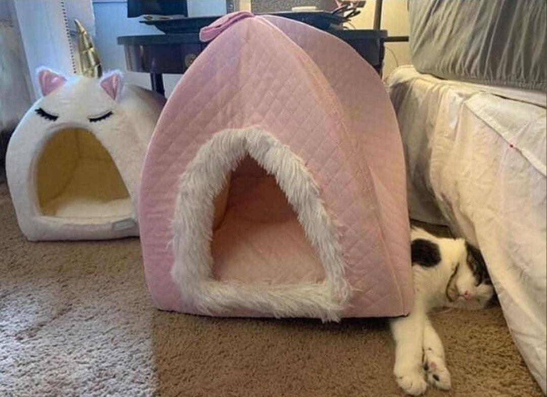    ...)