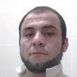 ����, �������, 37 ���