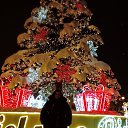 ���� �������, ������, 44 ���� - ��������� 23 ������� 2022 � ������ ���� ����������