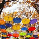 ���� �������, ������� - ��������� 22 ������� 2022 � ������ ���� ����������