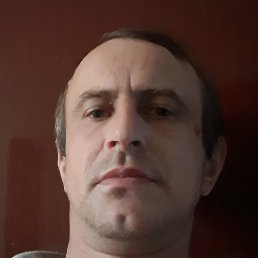 ������, ������, 43 ����