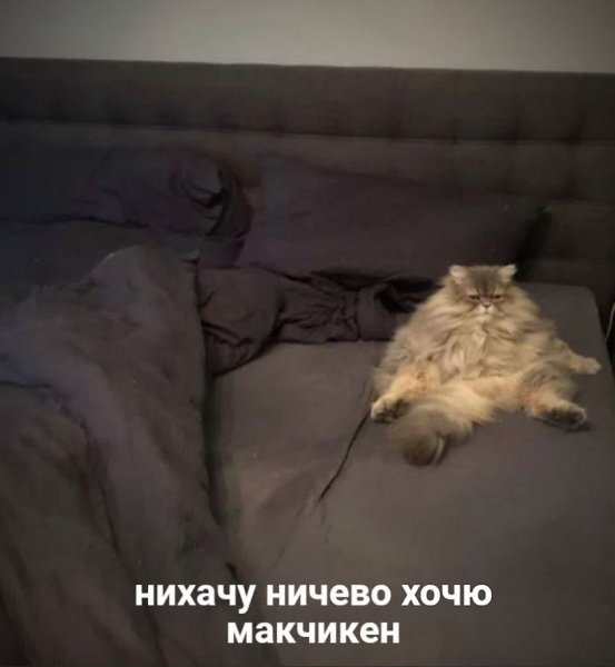    - 26  2023  14:20