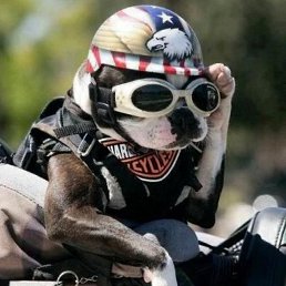 ���� Ignat, �������, 41 ��� - ��������� 9 ��� 2022