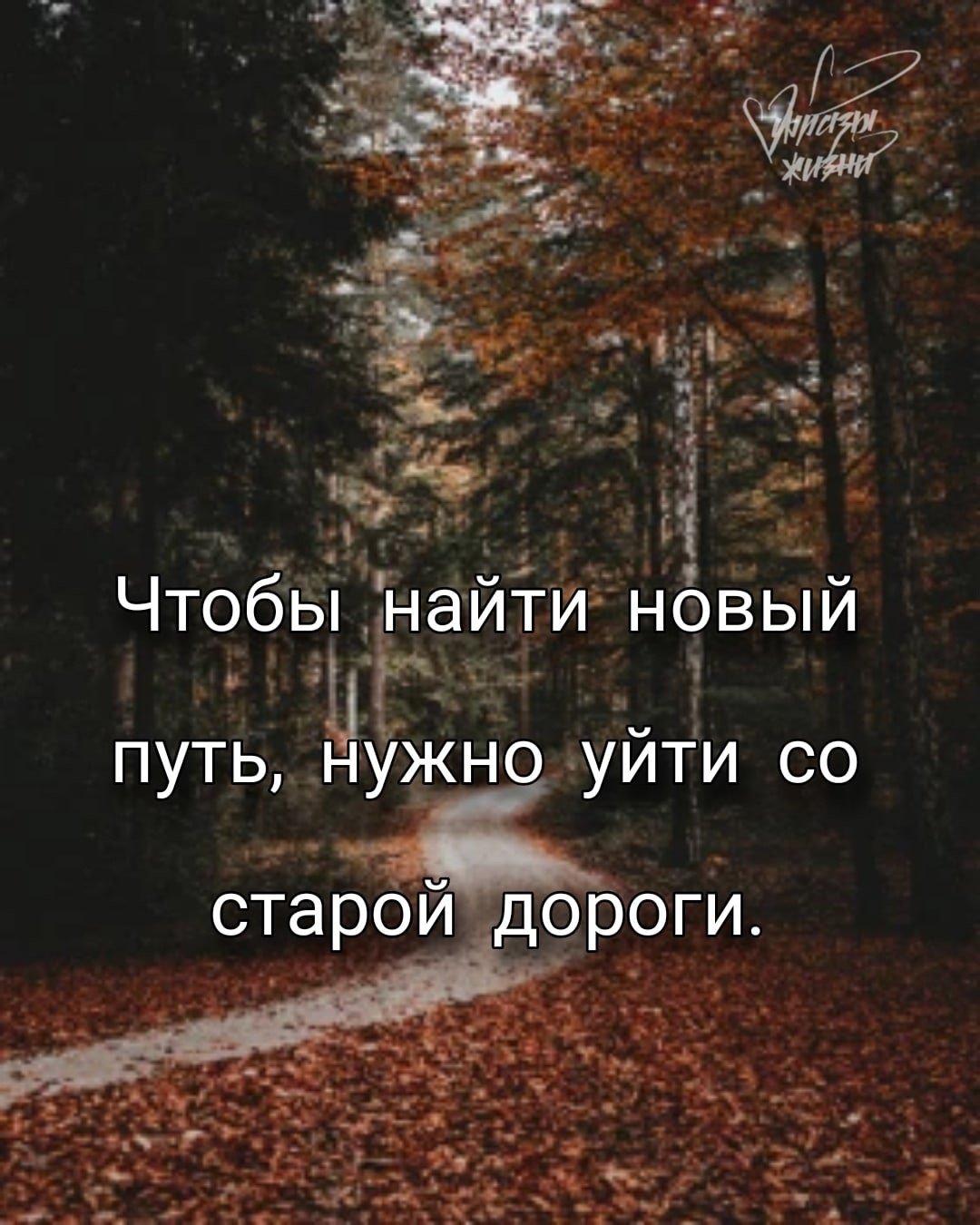   - 11  2022  20:07