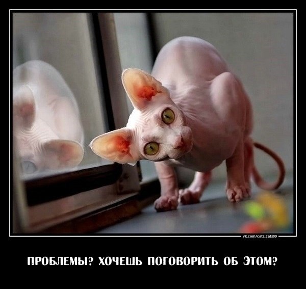  - 26  2022  16:33