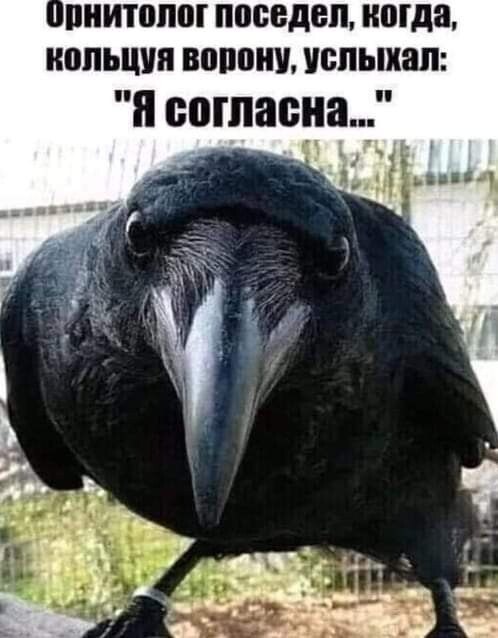  - 20  2022  08:53
