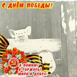 , , 48 