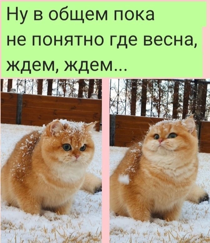   :D - 21  2022  08:45
