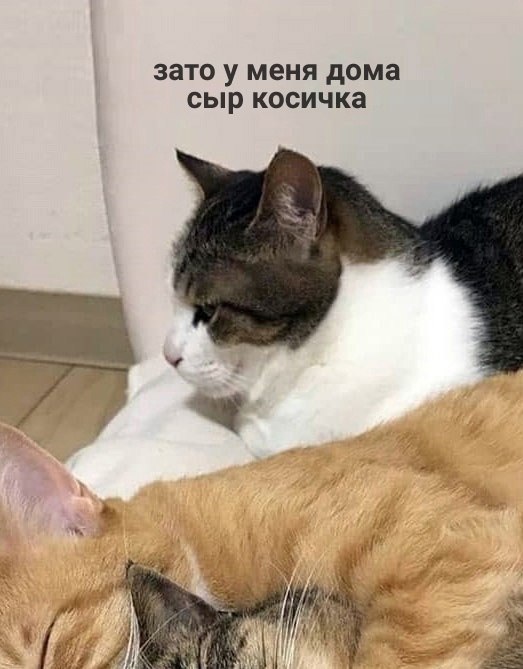     ,     -  - 2