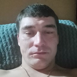 , , 31 