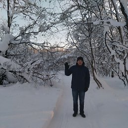 ����, �����-���������, 51 ���