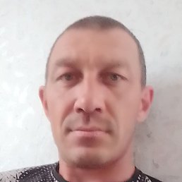 , , 41 