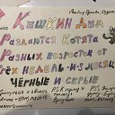 ���� ��������� 8), �����-��������� - ��������� 31 ������� 2022 � ������ ������� ������� 2022�