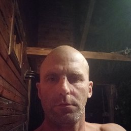 , 43 , 