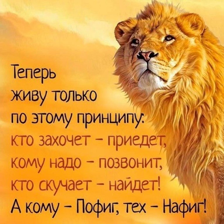   - 13  2022  20:56