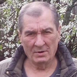 ������, ������, 65 ���