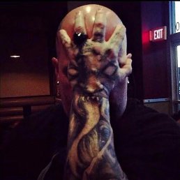 ������, ������, 43 ����