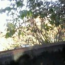 ���� ���e��, ����������� - ��������� 11 ������ 2022