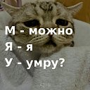  , , 21  -  2  2022    