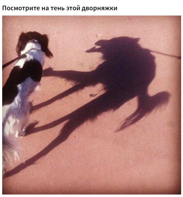    ,      . - 2