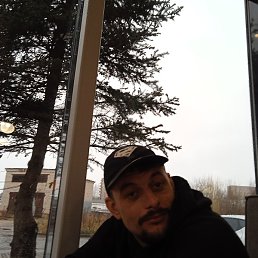 ����, �����-���������, 37 ���