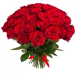 Mashhura, �����, 23 ����