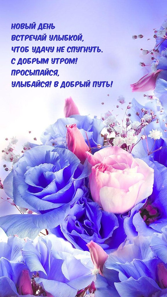   ,    . - 17  2022  23:44
