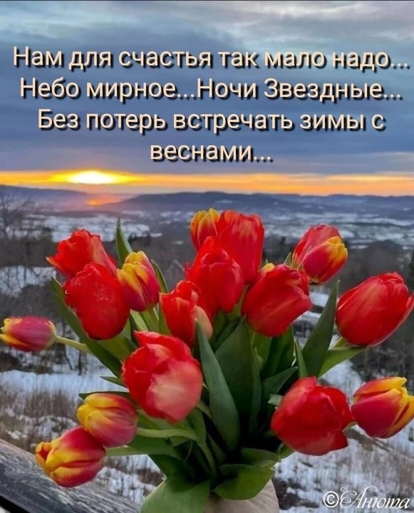   ,    . - 15  2022  13:03 - 2