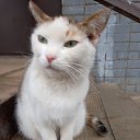 ���� ������, ���������, 62 ���� - ��������� 24 ������ 2023 � ������ ���� ����������