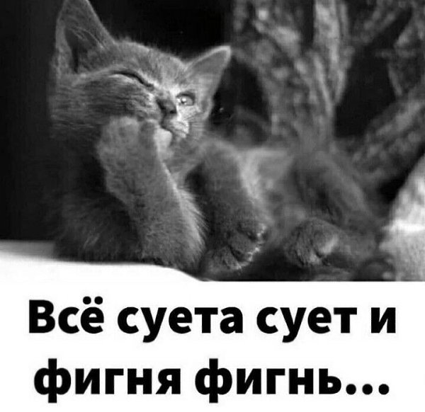 ***Victoria Viktorovna*** - 10  2022  06:26