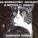 ���� ��������, ������� �����, 61 ��� - ��������� 29 ������� 2022 � ������ ������ ��������