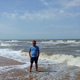 ���������, �������, 43 ����