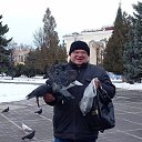 ���� ������, �����, 66 ��� - ��������� 8 ������ 2023