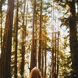 ����, ��������, 41 ���