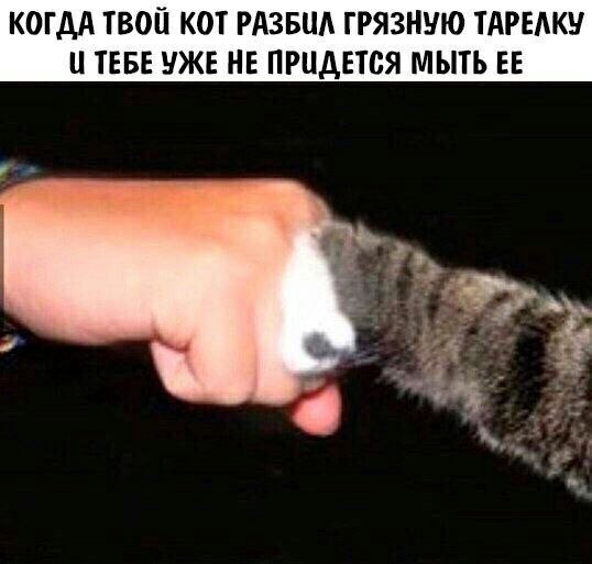    - 10  2023  13:13