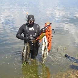 ������, ������������